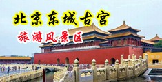 操女人逼图中国北京-东城古宫旅游风景区